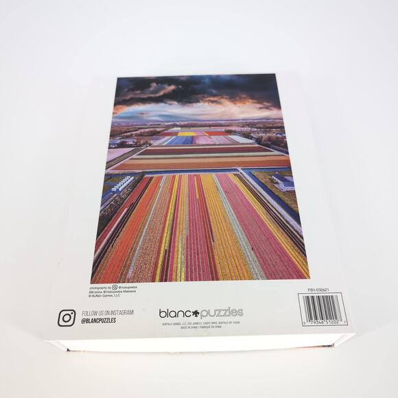 Blanc Buffalo Games Infinity Fields of the Netherlands 1000 Pieces Jigsaw Puzzle - Picture 10 of 12